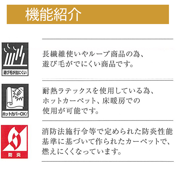 カーペット200ｘ250（サルート）