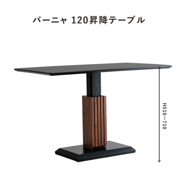 昇降テーブル120（バーニャ）