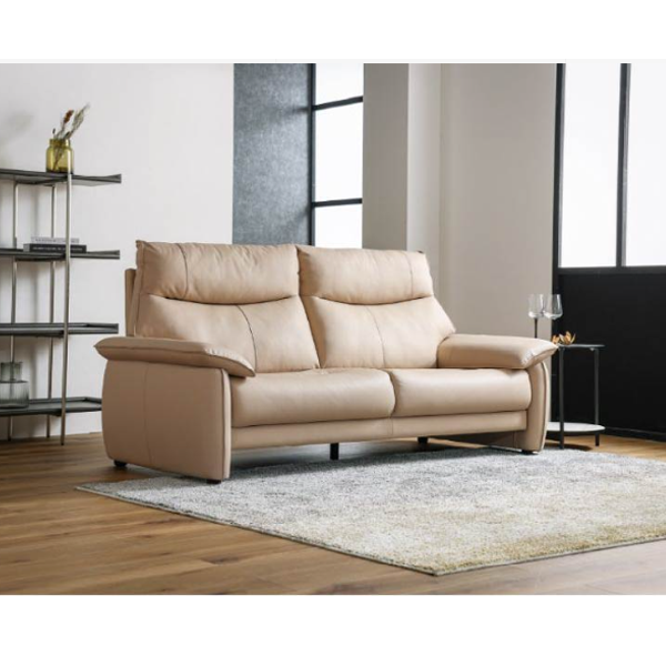 2人掛けソファ(ルーシェ)